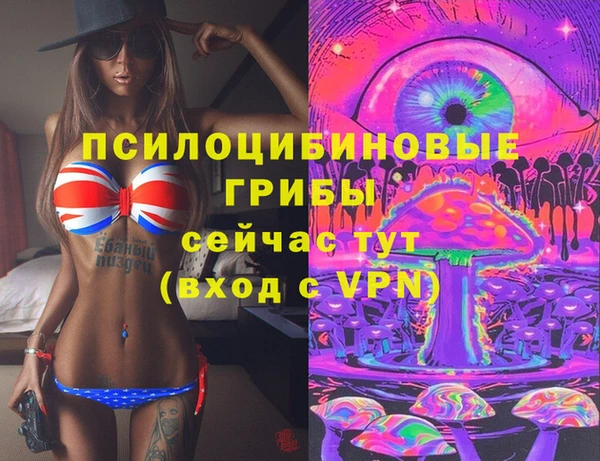 шишки Бородино