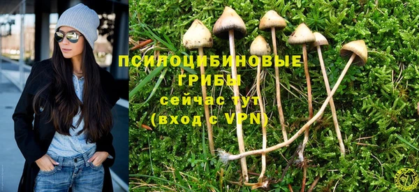 МДМА Богданович