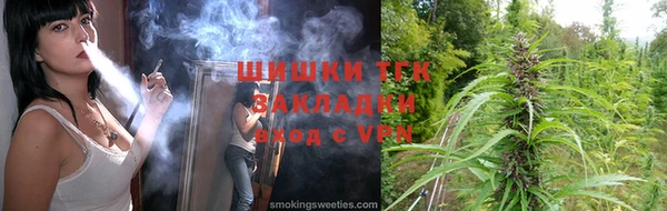тгк Богородицк