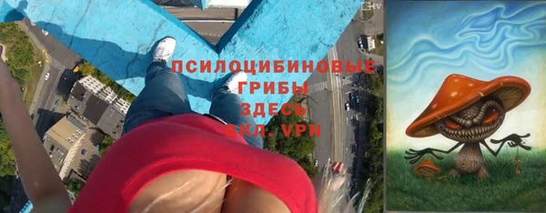 тгк Богородицк