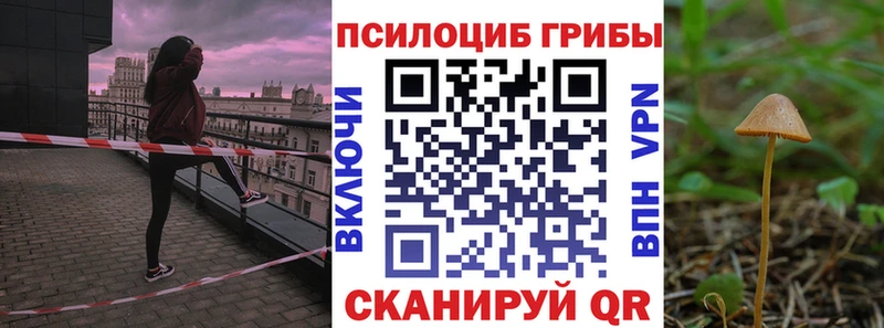 Псилоцибиновые грибы ЛСД Дагестанские Огни